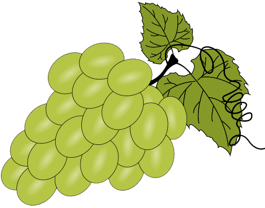 Featured image of post Grapes Coloring Pages To Print Bunch of grapes coloring pages
