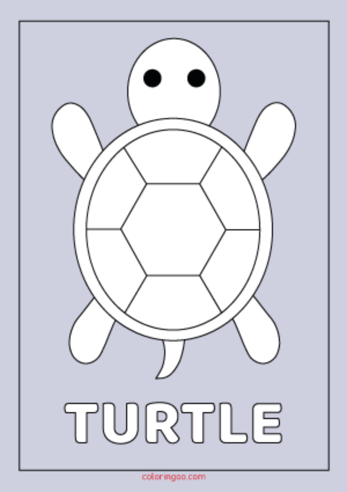 Turtle Printable Coloring Pages For Kids