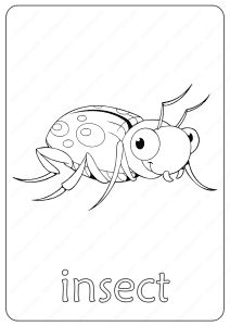 Printable Insect Coloring Page - Book PDF