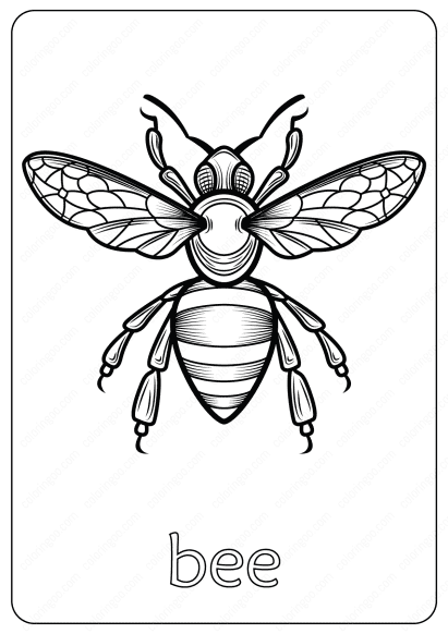 bee coloring pages