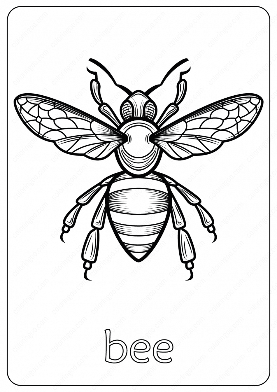 Animals Bee Coloring Pages Book