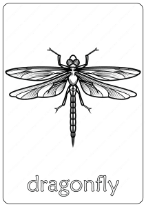 dragonfly coloring pages