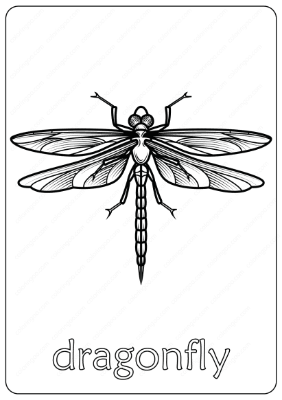 dragonfly coloring pages