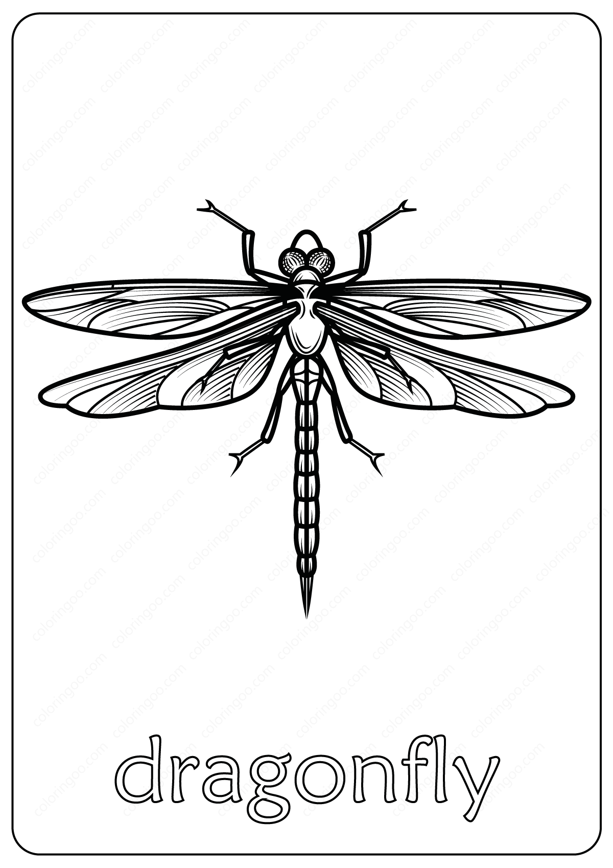 Animals Dragonfly Coloring Pages Book