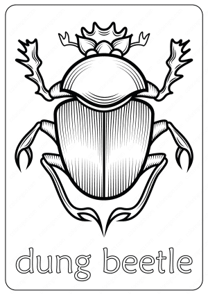 Animals Dung Beetle Coloring Pages Book