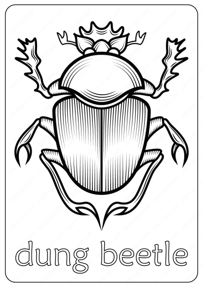 dung beetle coloring pages