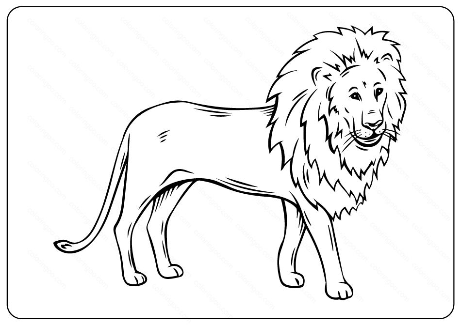Free Printable Lion Outline Coloring Page
