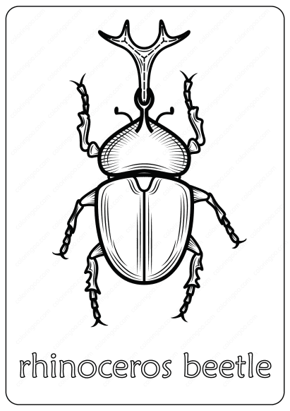 rhinoceros beetle coloring pages