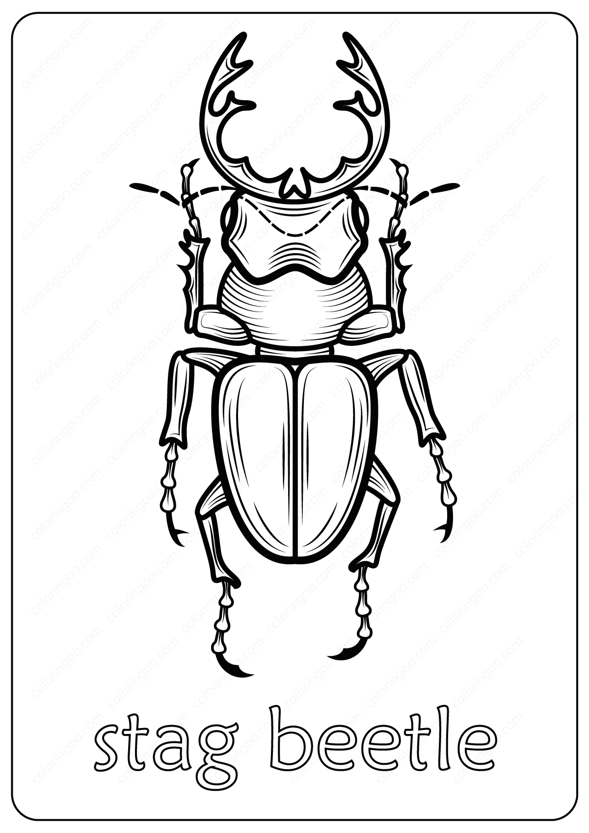 stag beetle coloring pages