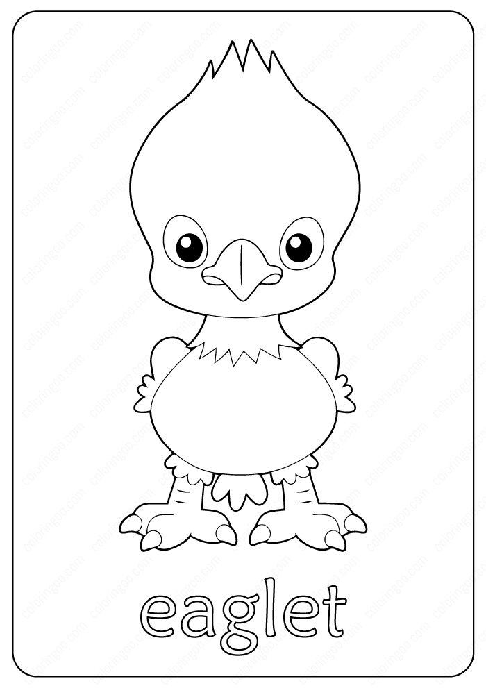 eaglet outline coloring pages