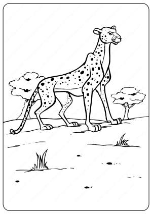 Disney The Lion King Cheetah Coloring Pages