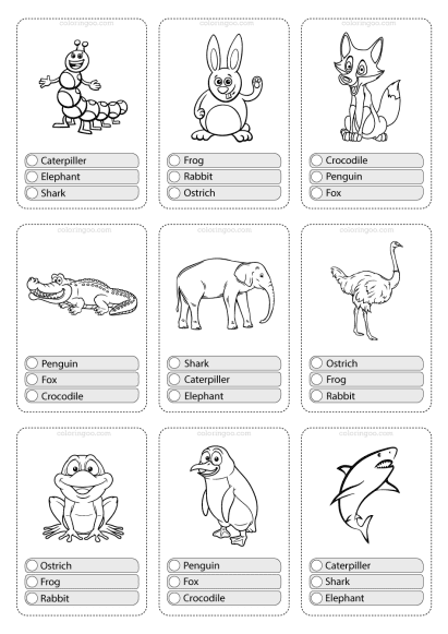 animals flashcard 05