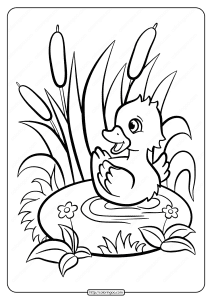 printable baby duckling pdf coloring page