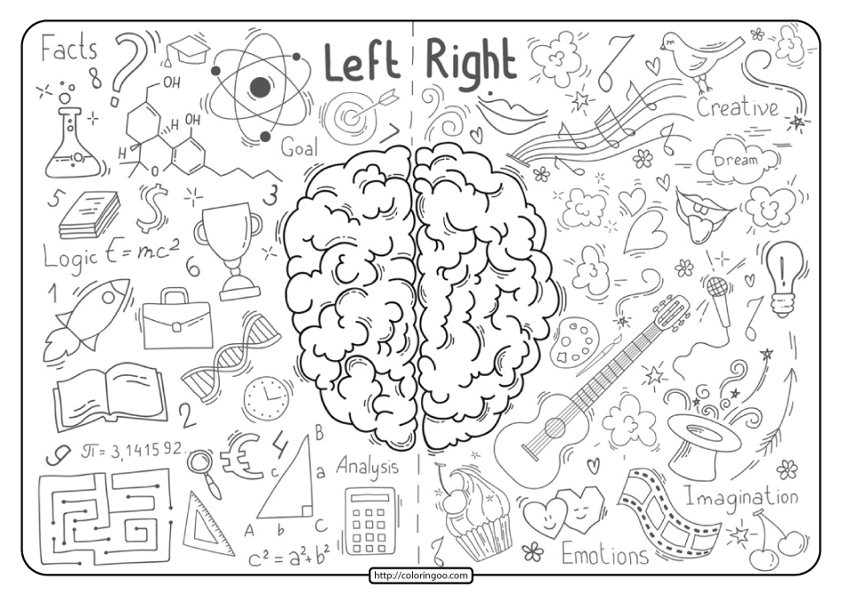 Free Printable Brain Lobes Pdf Coloring Pages