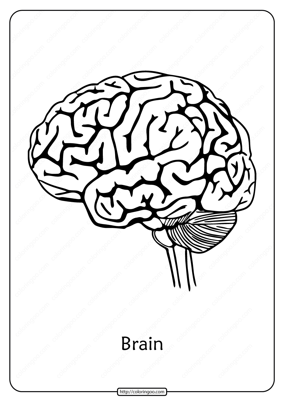 free printable brain outline pdf coloring page