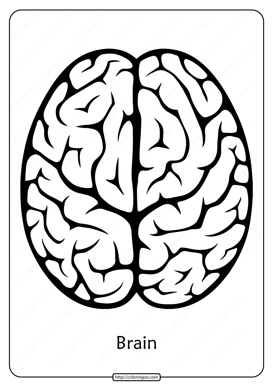 Download Coloring Page Of The Brain PNG