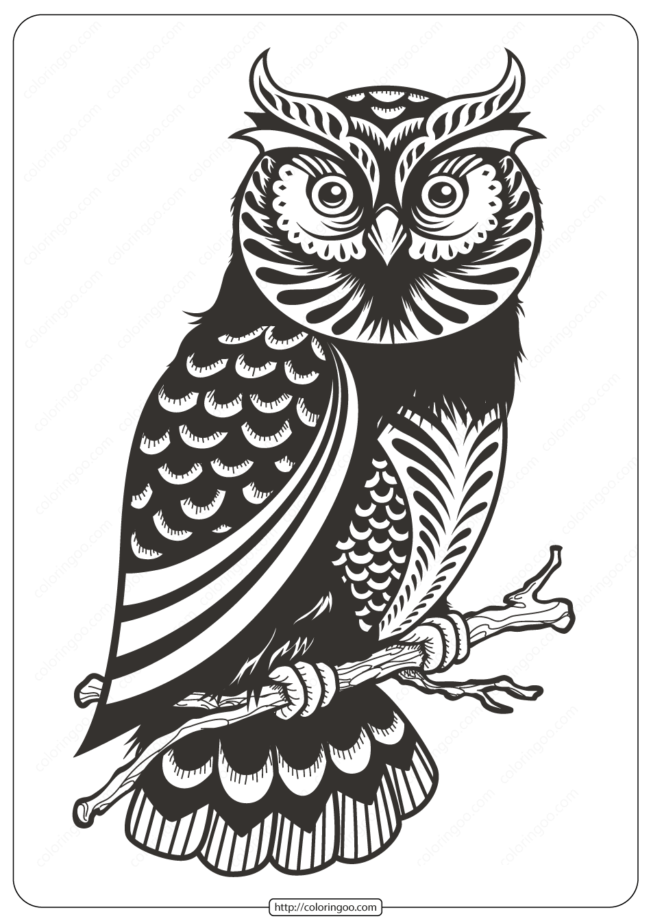 Free Printable Owl Animal Coloring Page – 008
