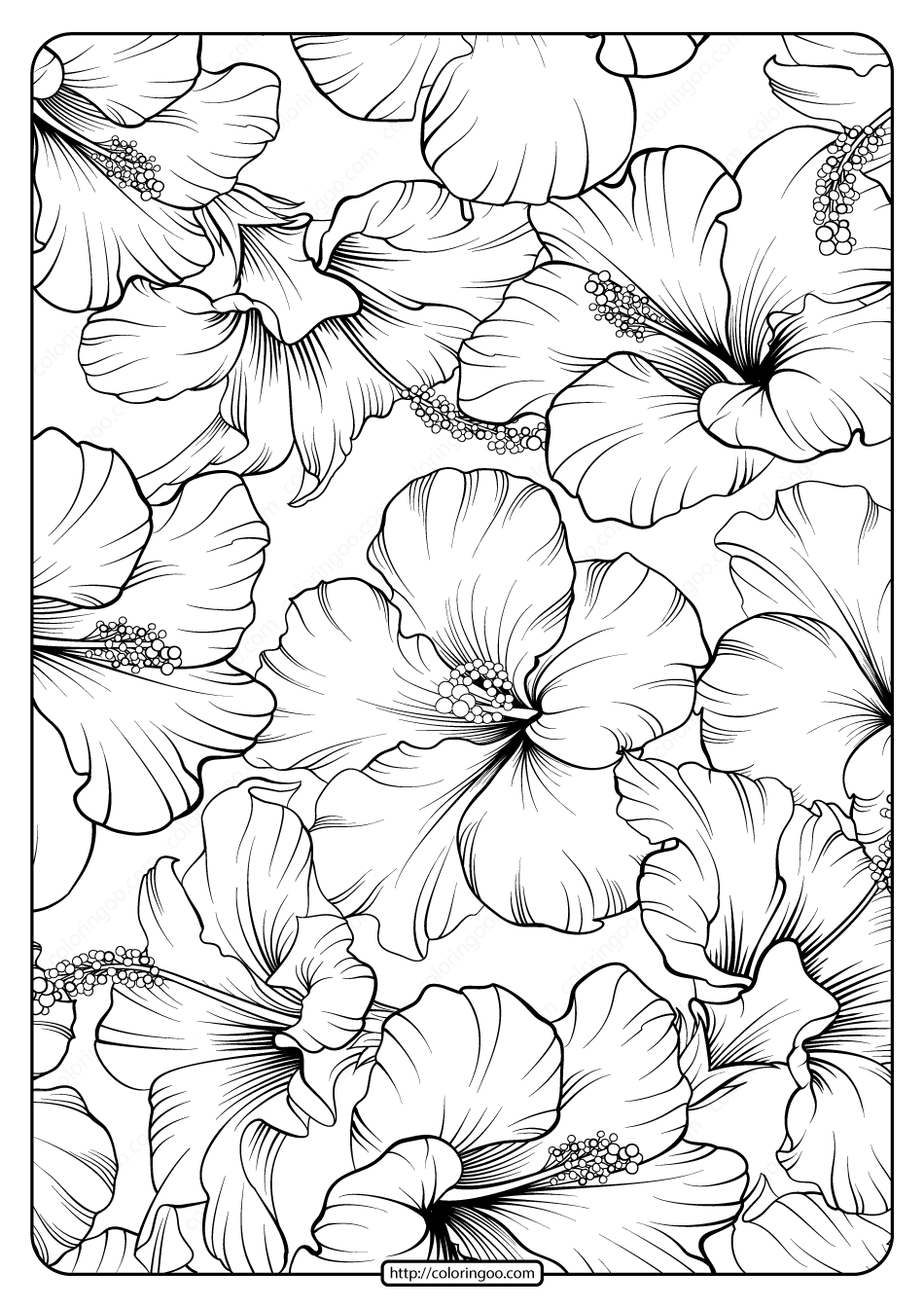 Flower Coloring Pages For Adults Best Coloring Pages For Kids Dahlia 