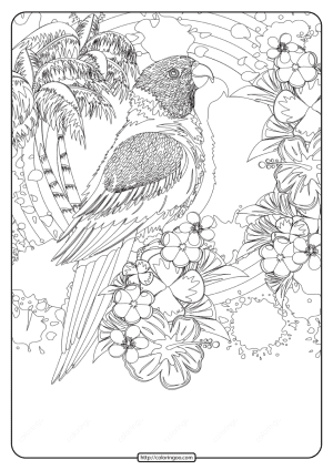 Free Printable Tropical Bird Pdf Coloring Page