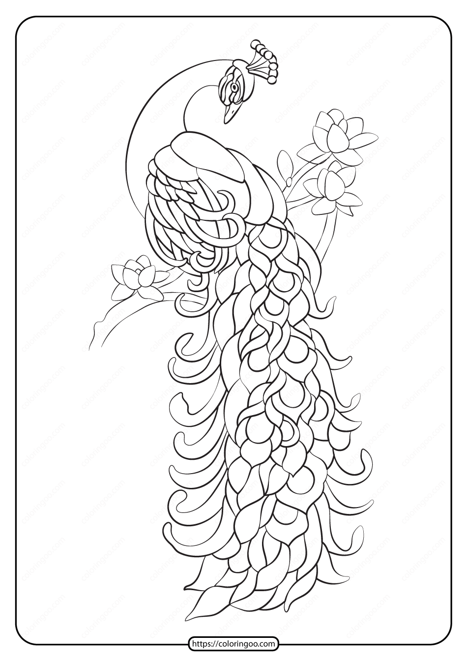 free printable animals bird pdf coloring pages 17