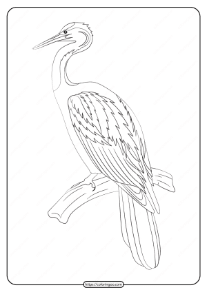 Free Printable Animals Bird Pdf Coloring Pages 18