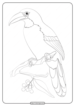 Free Printable Animals Bird Pdf Coloring Pages 19