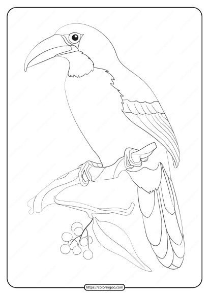 free printable animals bird pdf coloring pages 19