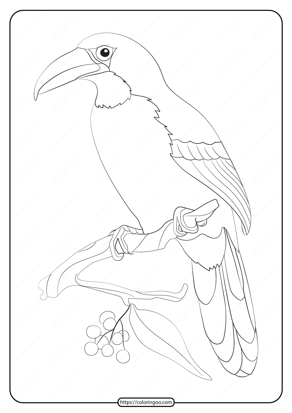 free printable animals bird pdf coloring pages 19