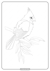 free printable animals bird pdf coloring pages 22