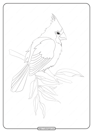 Free Printable Animals Bird Pdf Coloring Pages 22