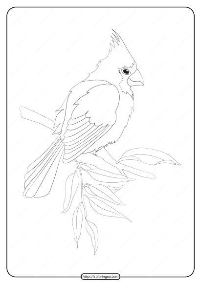 free printable animals bird pdf coloring pages 22