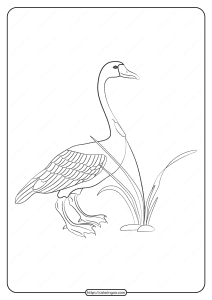 free printable animals goose pdf coloring page