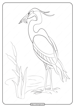 Free Printable Animals Heron Pdf Coloring Page
