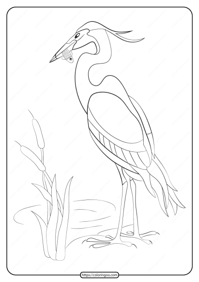 free printable animals heron pdf coloring page