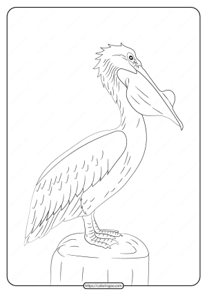 Free Printable Animals Pelican Pdf Coloring Page