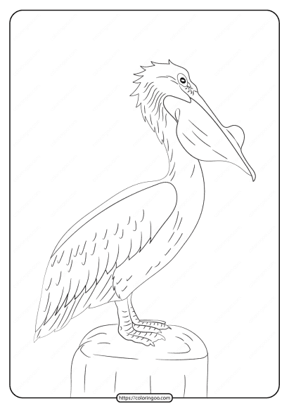 free printable animals pelican pdf coloring page