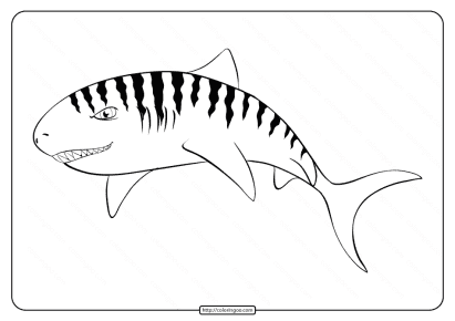 printable animal outline for shark coloring page