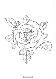 free printable flower coloring pages