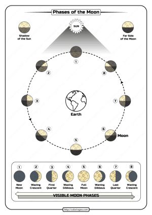 Free Printable Phases of the Moon Pdf Worksheet