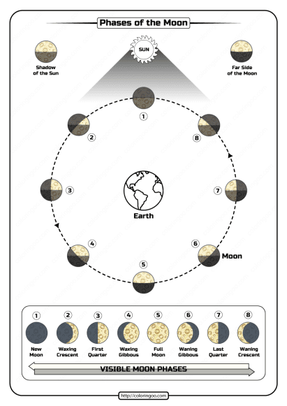 free printable phases of the moon pdf worksheet