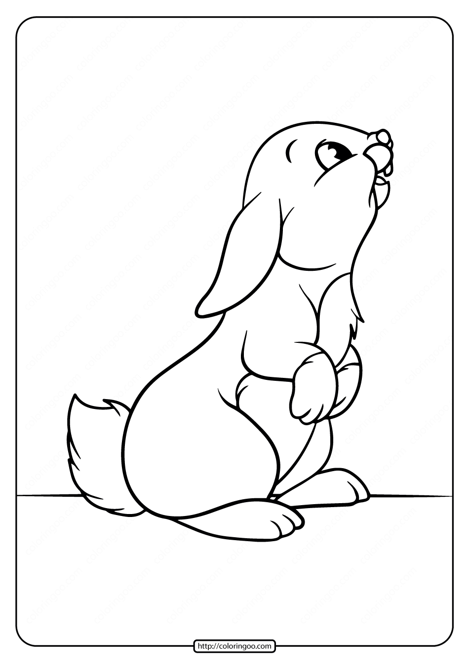 Free Printable Rabbit Coloring Pages
