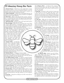 25 amazing honey bee facts worksheet