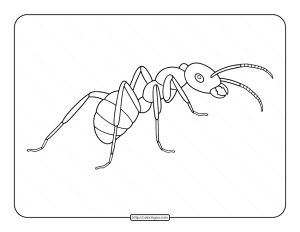 Ant Pdf Coloring Page