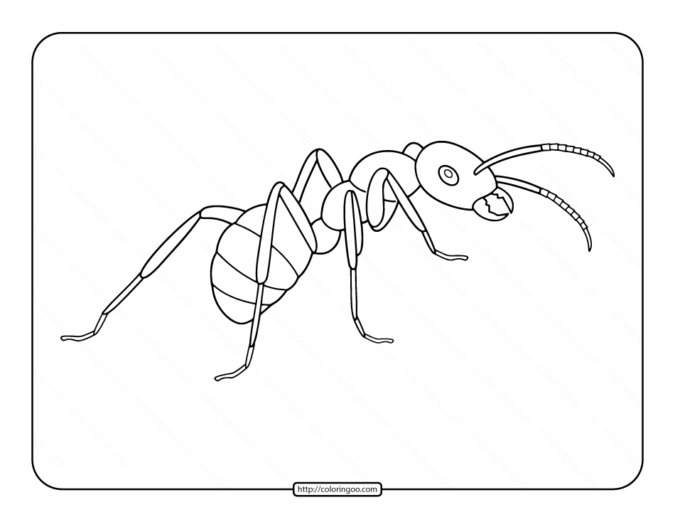 ant pdf coloring page