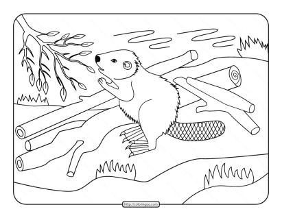 Beaver Coloring Pages for Boys