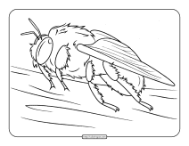 bumblebee coloring page