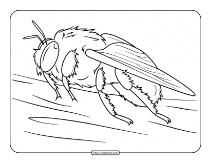 bumblebee coloring page