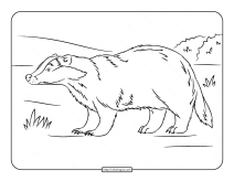 european badger coloring page