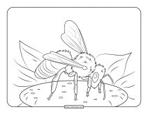 european honeybee coloring page