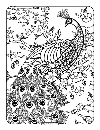 free printables peacock coloring page